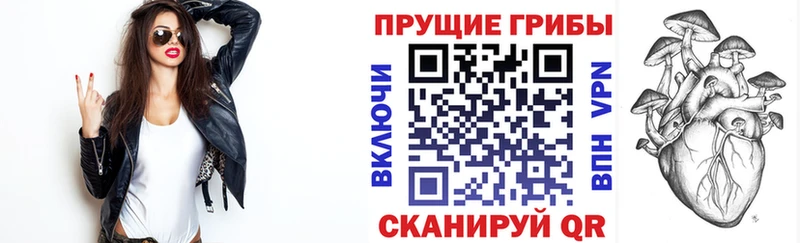 МЕГА ссылки Абакан Псилоцибиновые грибы ЛСД где продают